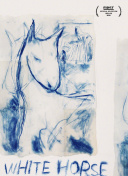 从新手到高手，武道之巅攻略大全